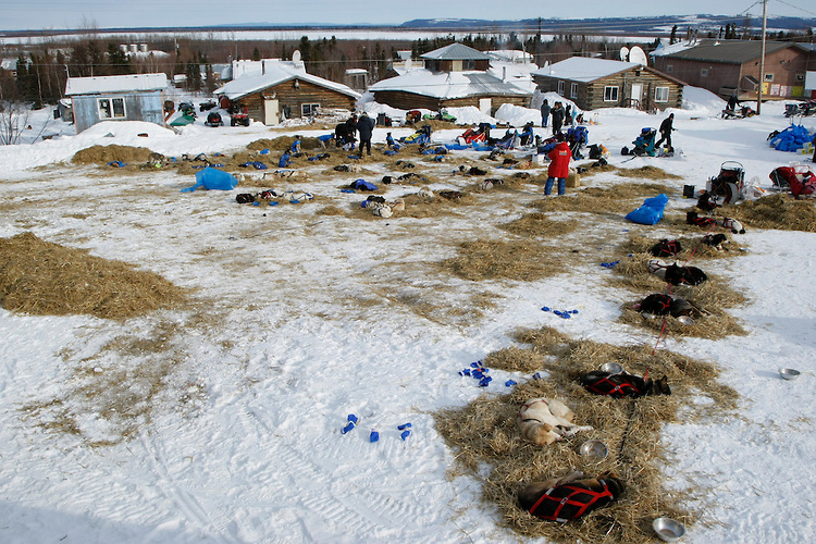 Teams rest in the Shageluk checkpoint on Saturday morning Iditarod 2009